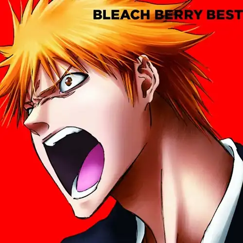 Bleach Berry Best cover